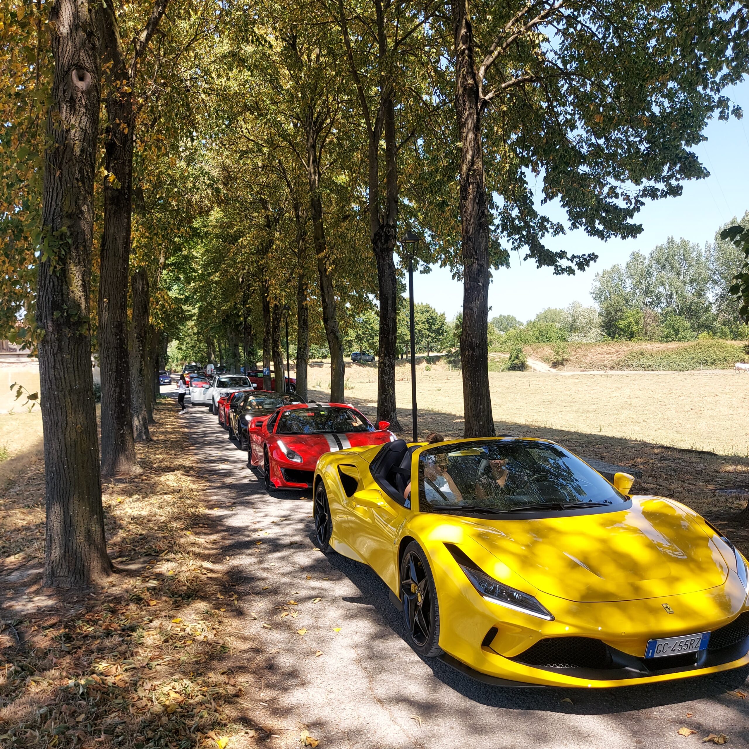 Tour di Siena in Ferrari, Lamborghini, Maserati e molte altre supercars by Driving The Dream